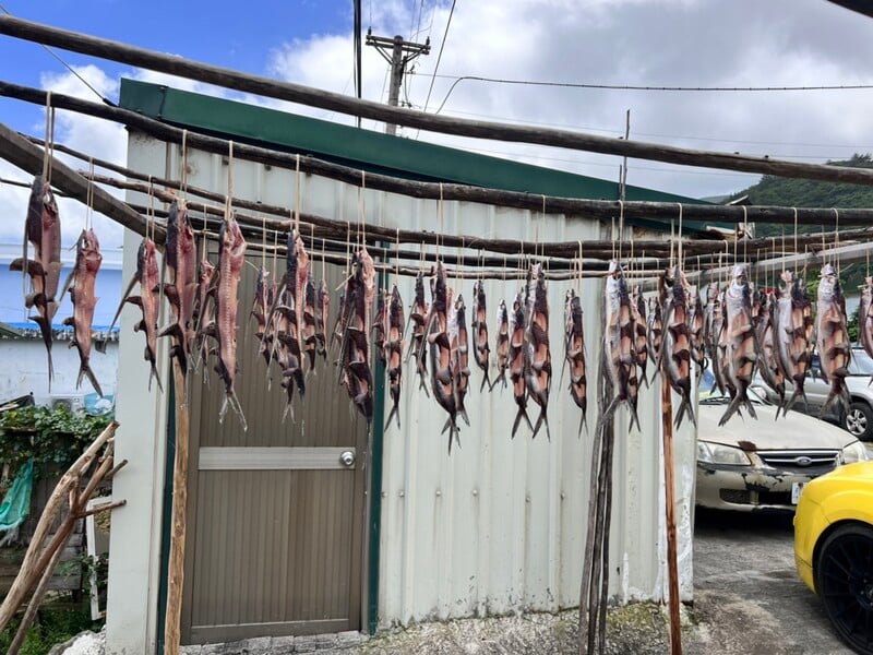 S__213950542蘭嶼飛魚_0.jpg